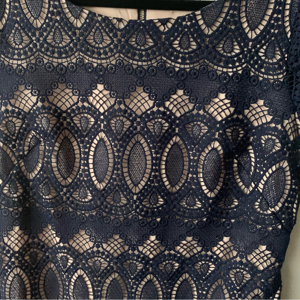 Eliza J Scalloped Lace Navy Sheath Dress Size:10 NWOT Gold Zipper On Back. - Picture 4 of 10